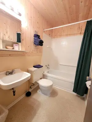 a bathroom with a sink and a toilet and a tub at Shannon Motel in Fort Nelson