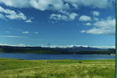 a grassy field with a lake and horses in the distance at Williston Lake Resort in Hudson Hope