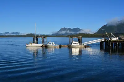 a group of boats docked at a dock in the water at Island Village Properties at Fred Tibbs in Tofino