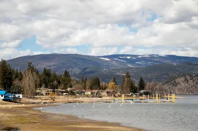 a lake with a bunch of birds in the water at Semi-Lakefront Luxury Retreat In Blind Bay, Bc Cottage in Blind Bay
