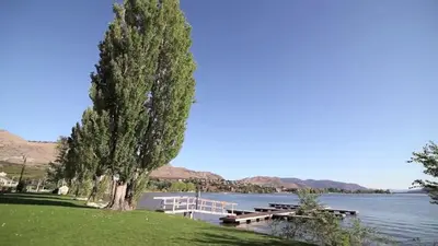 a lake with two benches and a tree at Lakefront Townhouse Family Complex, Popular Wine Country and the Best Golfing in Osoyoos