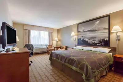 a hotel room with a bed and a flat screen tv at Super 8 by Wyndham Abbotsford BC in Abbotsford