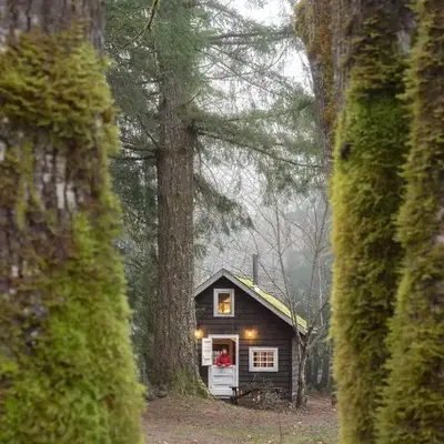 Sunwolf Riverside Cabins