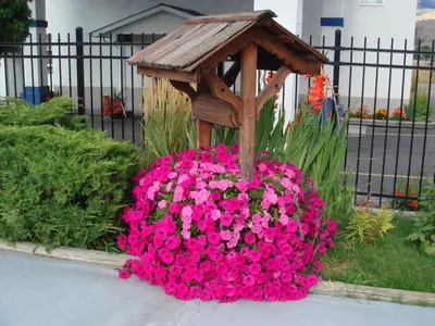 a birdhouse sitting on top of a pile of pink flowers at Grand Forks Inn in Grand Forks