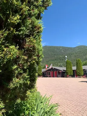 a large green tree in front of a building at Arrow Lake Motel in Fauquier