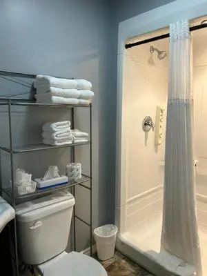 a bathroom with a shower and a toilet and towels at Arrow Lake Motel in Fauquier