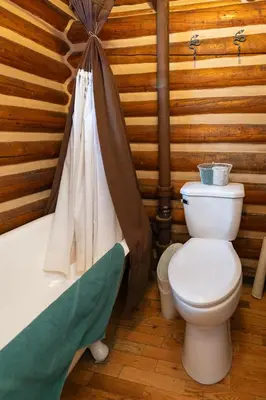a bathroom with a toilet and a bath tub at Storm Mountain Lodge & Cabins in Banff