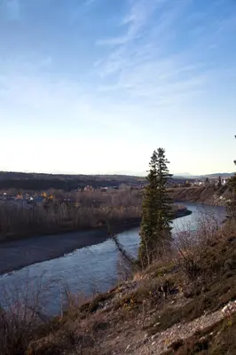a river with a tree on the side of it at Bow River Inn in Cochrane