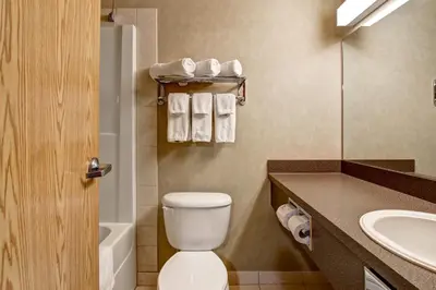 a bathroom with a toilet and a sink at Canalta Provost in Provost