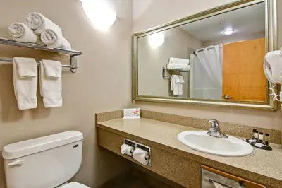a bathroom with a toilet and a sink and a mirror at Canalta Oyen in Oyen