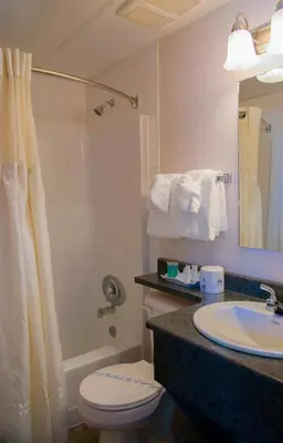 a bathroom with a sink and a toilet and a shower at Grama's Inn in Prince George