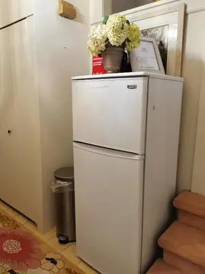 a white refrigerator with flowers on top of it at John's House in Vancouver West in Vancouver