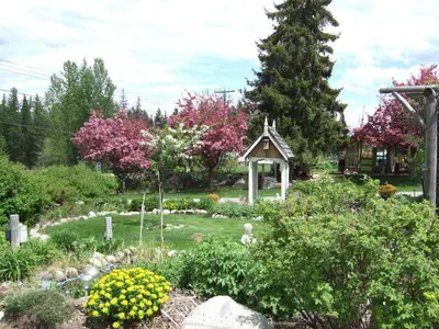 a garden with a gazebo in the middle at North Star Motel in Kimberley