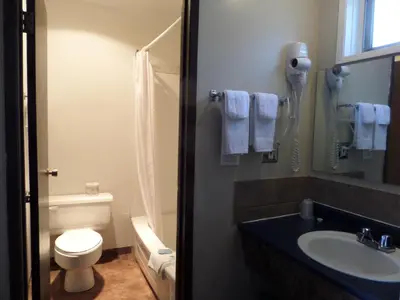 a bathroom with a sink and a toilet and a mirror at Ray Lyn Motel in Trail