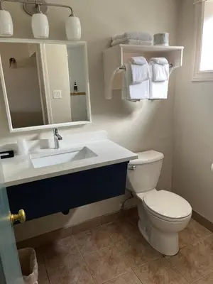 a bathroom with a sink and a toilet and a mirror at Revelstoke Lodge in Revelstoke