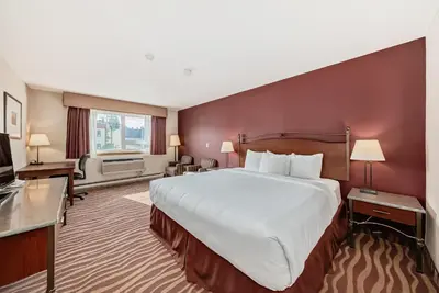a hotel room with a large bed and a television at Invermere Inn & Suites in Invermere