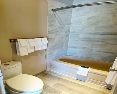 a bathroom with a tub and a toilet and a shower at Skimmerhorn Inn in Creston