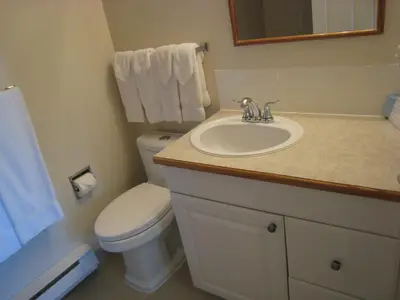 a bathroom with a white toilet and a sink at Skimmerhorn Inn in Creston