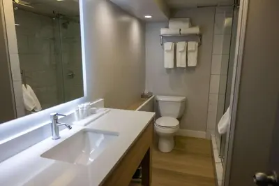 a bathroom with a sink and a toilet and a shower at Radisson Hotel Fort St John in Fort Saint John