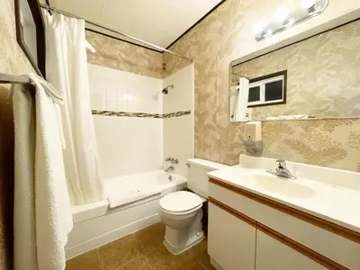 a bathroom with a toilet and a sink and a bath tub at Valhalla Inn in New Denver