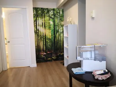 a room with a wall mural of a forest at Coquitlam center, 2 bedroom suite, walking to skytrain in Port Coquitlam