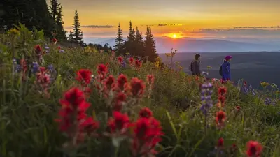 two people standing on top of a hill with flowers at Woodhaven #36 By Bear Country in Sun Peaks