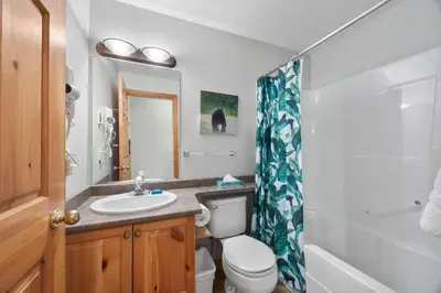 a bathroom with a sink and a toilet and a shower at Snow Creek Village #37 By Bear Country in Sun Peaks
