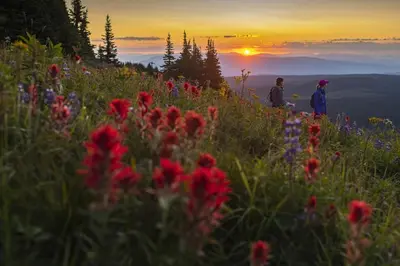 two people standing on top of a hill with flowers at Trappers Landing #11 By Bear Country in Sun Peaks