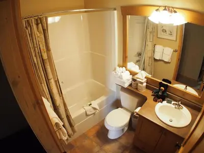 a bathroom with a toilet and a sink and a tub at Crystal Forest #60 By Bear Country in Sun Peaks