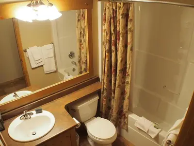 a bathroom with a toilet and a sink and a shower at Crystal Forest #60 By Bear Country in Sun Peaks