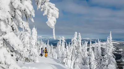 a group of people skiing down a snow covered mountain at Crystal Forest #40 By Bear Country in Sun Peaks