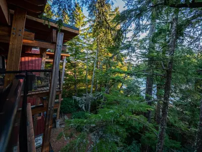 a view from a tree house in the woods at The Cabins at Terrace Beach in Ucluelet