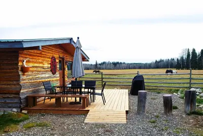 a cabin with a table and chairs and an umbrella at Woodhouse Cottages And Ranch in Prince George