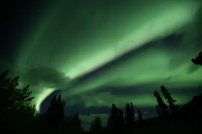 an image of the aurora borealis in the sky at Raven Inn Whitehorse in Whitehorse