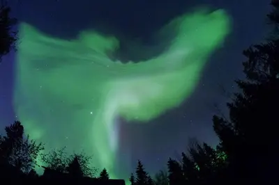 an image of the northern lights in the sky at Hidden Valley Bed and Breakfast in Whitehorse