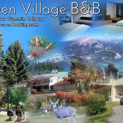 Green Village