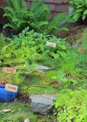 a garden with plants and signs in the grass at Mossy Hill Suite in Salt Spring Island
