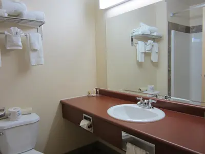 a bathroom with a sink and a toilet and a mirror at Days Inn by Wyndham Dawson Creek in Dawson Creek