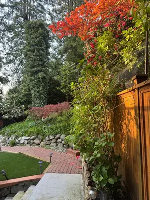 a garden with red flowers on a fence at Beautiful Two Bedroom Suite in North Vancouver