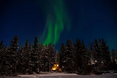 an aurora shines in the sky over a forest of trees at Great Slave Lakeside Bed & Breakfast in Yellowknife