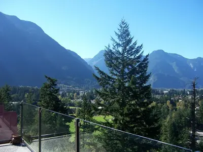 a tree on a balcony with mountains in the background at High Hopes Bed and Breakfast in Hope