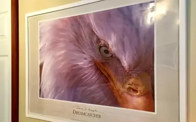 a picture of a pink bird in a picture frame at High Hopes Bed and Breakfast in Hope
