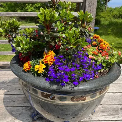 a large stone planter with flowers in it at Forest by the Sea Rentals in Merville