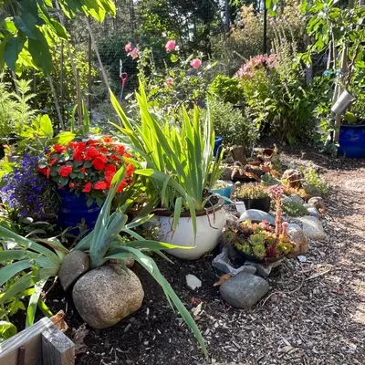 a garden with flowers and plants on the ground at Forest by the Sea Rentals in Merville