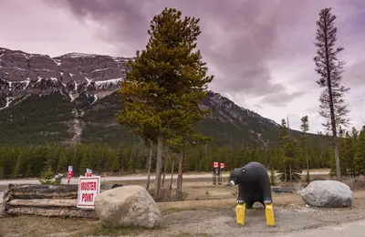 a statue of a bear standing next to some rocks at David Thompson Resort in Cline River