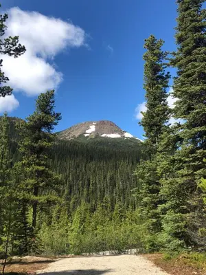 a mountain in the distance with trees in the foreground at Vines and Puppies Glamping Hideaway in Jade City