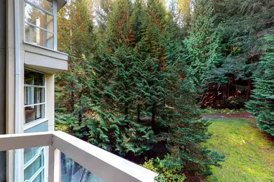 Gallery image of Woodrun #418 in Whistler