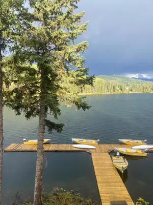 a dock with boats on a lake with a tree at Lac Des Roches Resort in Bridge Lake