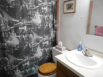 a bathroom with a toilet and a sink and a shower curtain at Queen, walk to village center in Whitehorse