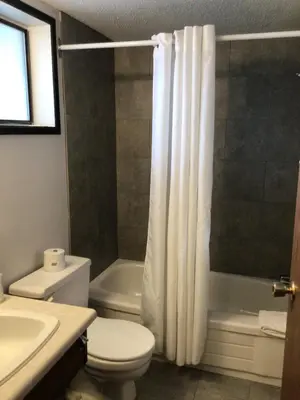 a bathroom with a toilet and a shower curtain at Christina Lake Motel and RV Park in Christina Lake